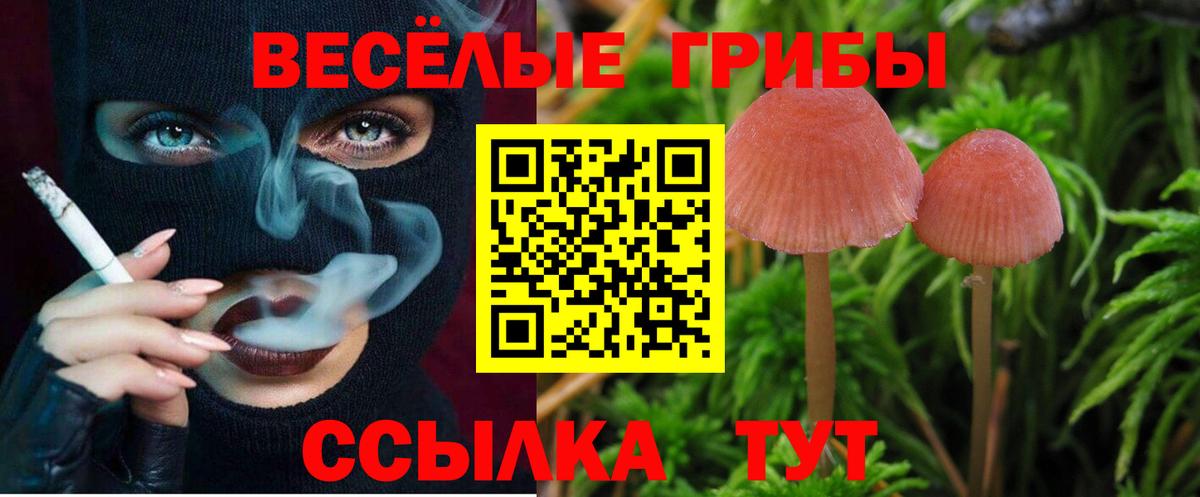 Псилоцибиновые грибы прущие грибы Донецк