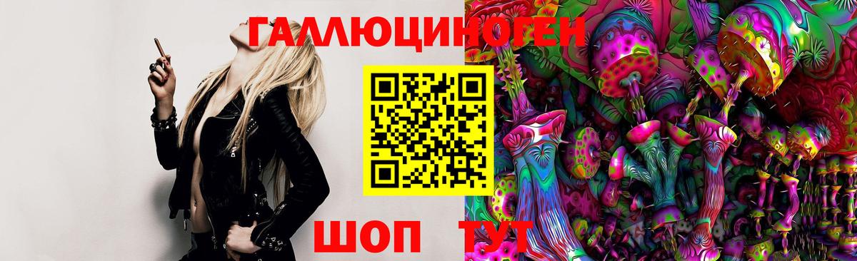 где купить наркотик  Вход с VPN  Донецк  Галлюциногенные грибы Magic Shrooms 